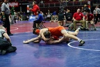 Wrestling